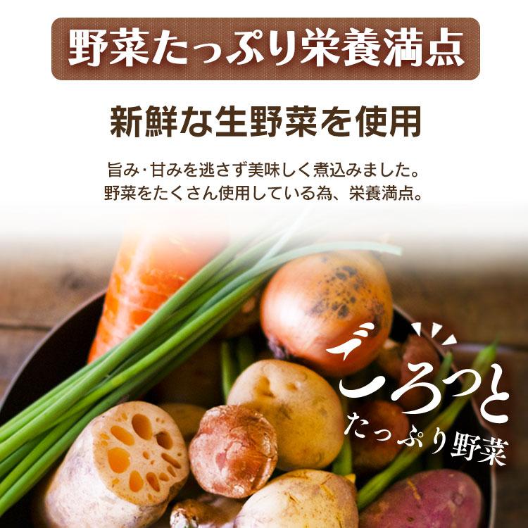 （12個）とん汁 味噌汁 みそ汁 レトルト 総菜 簡単 美味しい けんちん汁 豚汁 500g アイリスオーヤマ｜irisplaza｜03