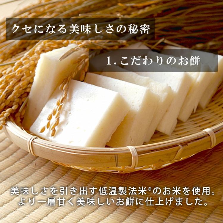 いなりあげもち いなりもち いなり餅 4食入 餅 おもち いなり揚げ餅 お餅 正月 お正月 年越し 年末 もち アイリスオーヤマ | IRIS OHYAMA | 02