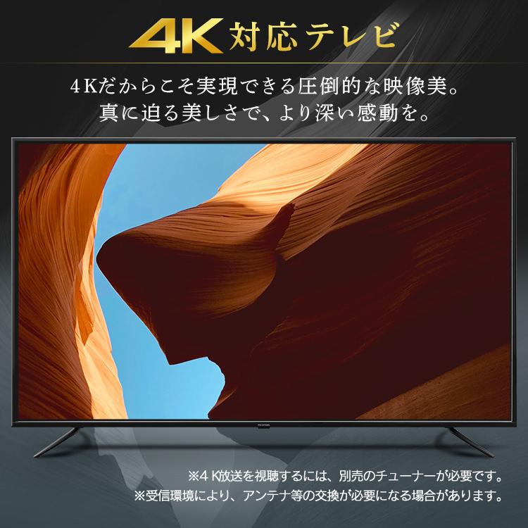 IRIS OHYAMA 液晶テレビ 65インチ 4K 設置無料 本体 アイリス IRIS OHYAMA 液晶テレビ 65インチ 4K 設置無料 本体 アイリス