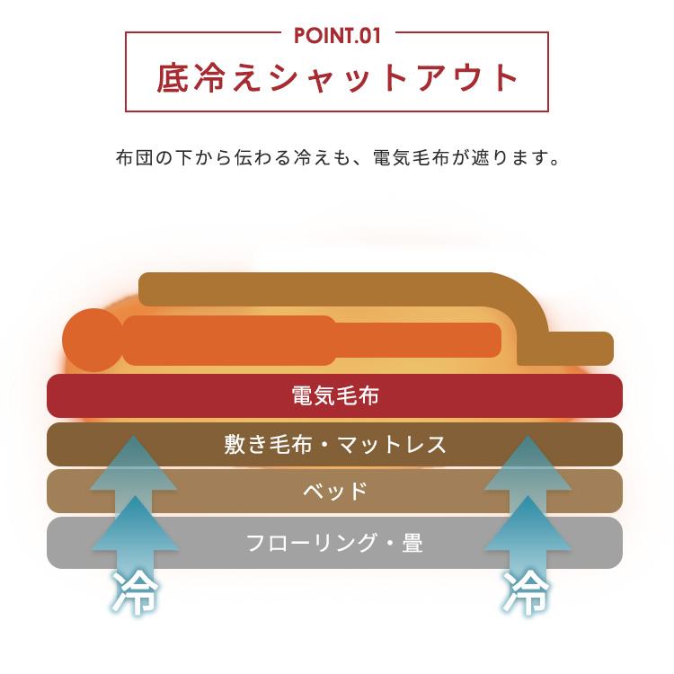 IRIS OHYAMA（アイリスオーヤマ） 電気毛布 掛け敷き シングル 節電