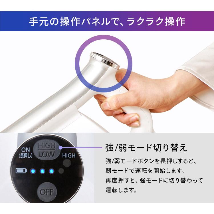 IRIS OHYAMA（アイリスオーヤマ） 掃除機 コードレス サイクロン 吸引
