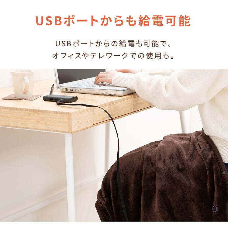 IRIS OHYAMA（アイリスオーヤマ） ブランケット USBポート 電気毛布
