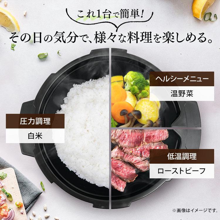 IRIS OHYAMA（アイリスオーヤマ） 電子レンジ 専用圧力容器付 17L 単