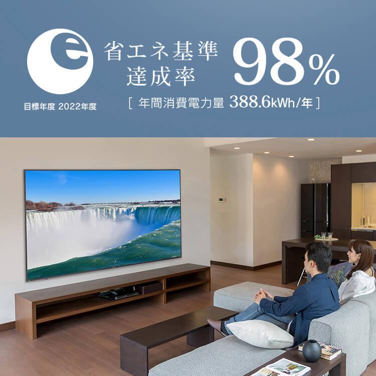 IRIS OHYAMA テレビ 液晶テレビ ディスプレイ 4Kチューナー内蔵