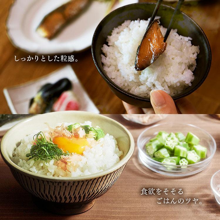 銘柄炊き 炊飯器 10合炊き 10合 一升 アイリスオーヤマ 圧力IH炊飯器