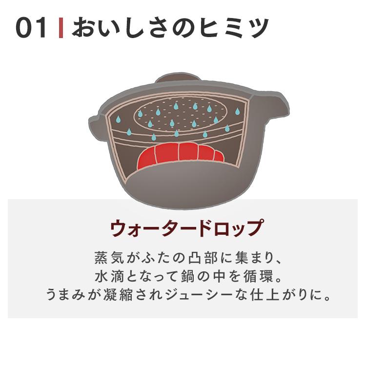 IRIS OHYAMA 両手鍋 24cm おしゃれ 無加水鍋 IH対応 ガス IRIS OHYAMA 両手鍋 24cm おしゃれ 無加水鍋 IH対応 ガス