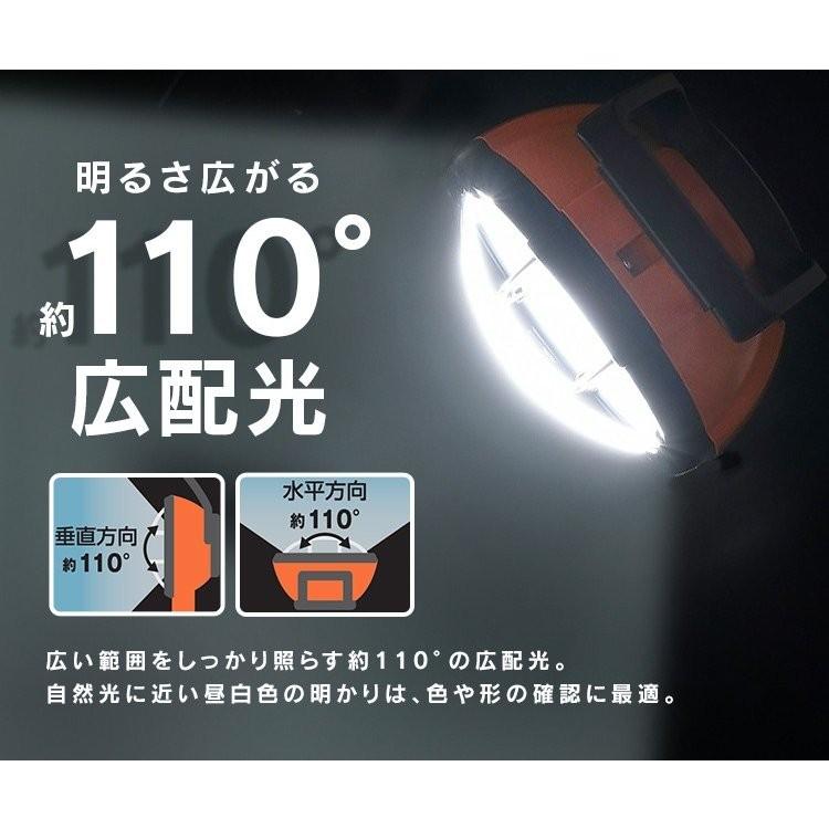 IRIS OHYAMA（アイリスオーヤマ） 投光器 led 屋外 作業灯 防水 2000lm