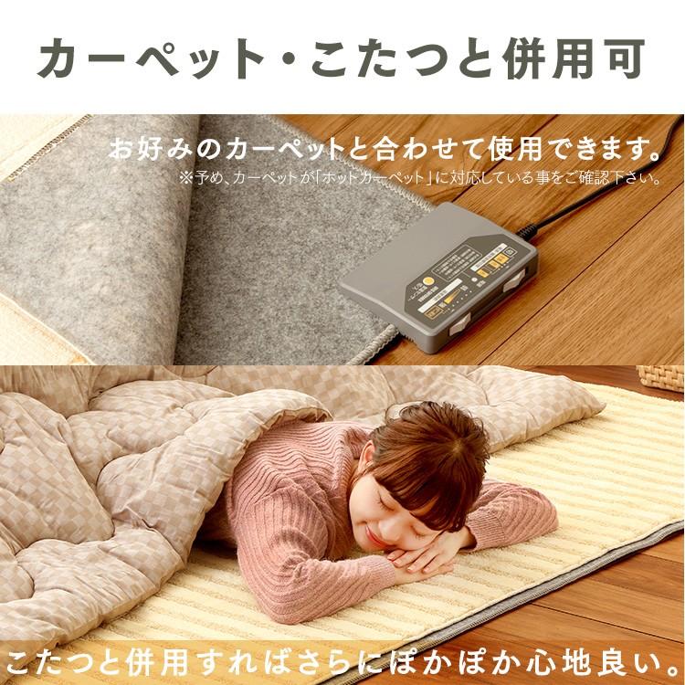 ホットカーペット 3畳 本体 節電 省エネ ダニ退治 温度調節 電気カーペット 電気マット アイリスオーヤマ 195×235 HCM-T2420-H  安心延長保証対象