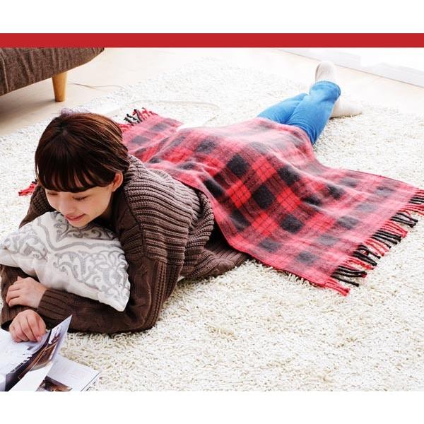 IRIS OHYAMA（アイリスオーヤマ） 電気毛布 敷き毛布 掛け毛布 掛け