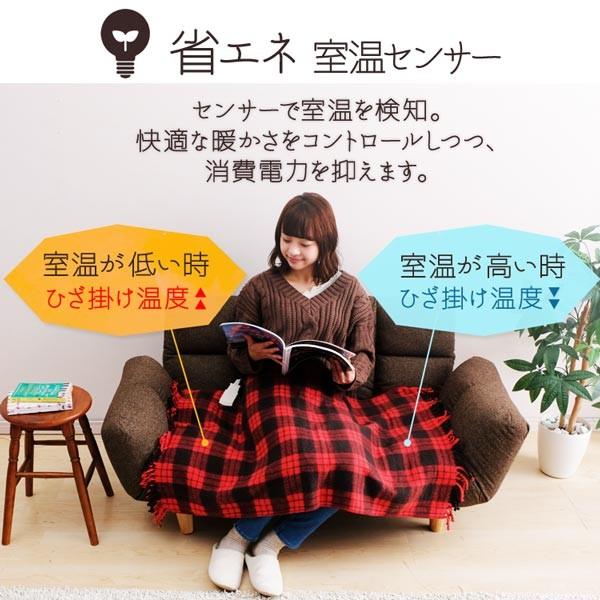 IRIS OHYAMA（アイリスオーヤマ） 電気毛布 敷き毛布 掛け毛布 掛け