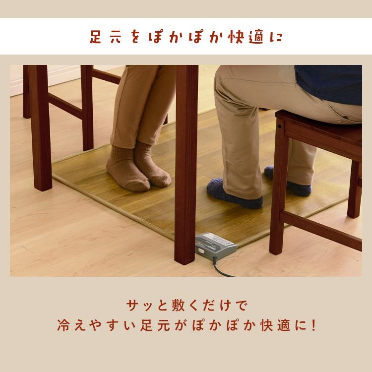 IRIS OHYAMA（アイリスオーヤマ） ホットカーペット 1畳 本体 88×176