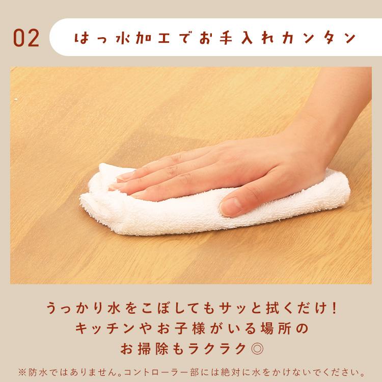 IRIS OHYAMA（アイリスオーヤマ） ホットカーペット 本体 45×110 節電