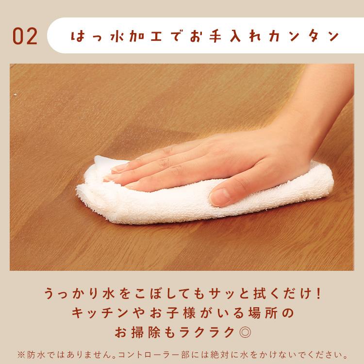 IRIS OHYAMA（アイリスオーヤマ） ホットカーペット 本体 45×110 節電