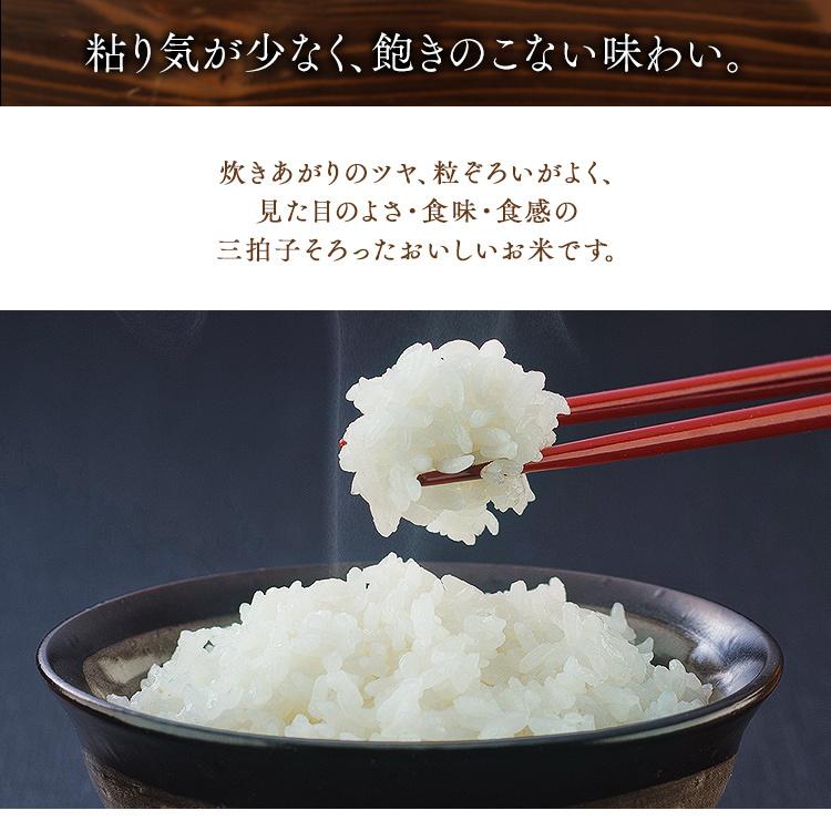 IRIS OHYAMA 米 10kg 青森県産 まっしぐら 送料無料 お米 白米 IRIS OHYAMA 米 10kg 青森県産 まっしぐら 送料無料 お米 白米