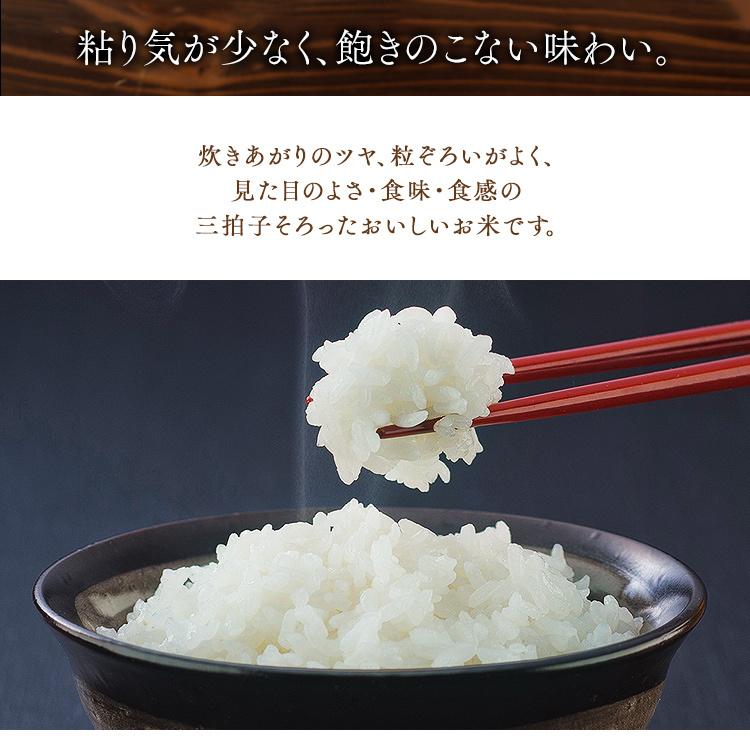 青森県産 まっしぐら 令和5年産 米 10kg 送料無料 お米 白米 アイリスオーヤマ｜irisplaza｜03