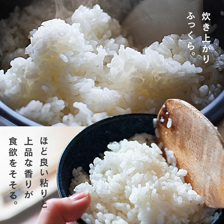 IRIS OHYAMA 米5kg 無洗米 送料無料 お米 ひとめぼれ 岩手県産