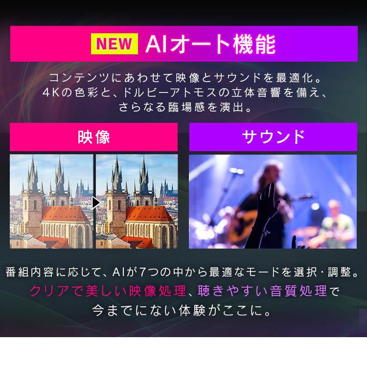IRIS OHYAMA テレビ 50型 アイリスオーヤマ ネット動画対応 4K IRIS OHYAMA テレビ 50型 アイリスオーヤマ ネット動画対応 4K