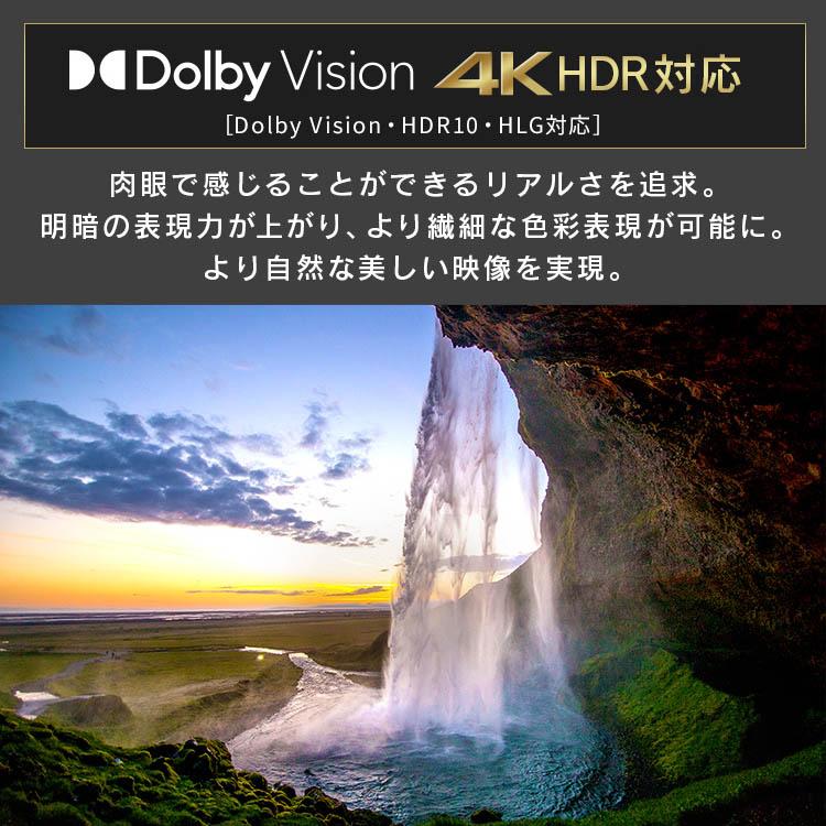 セールお得❗️アイリスオーヤマ 55型 55インチ2020年製 液晶テレビ 4K