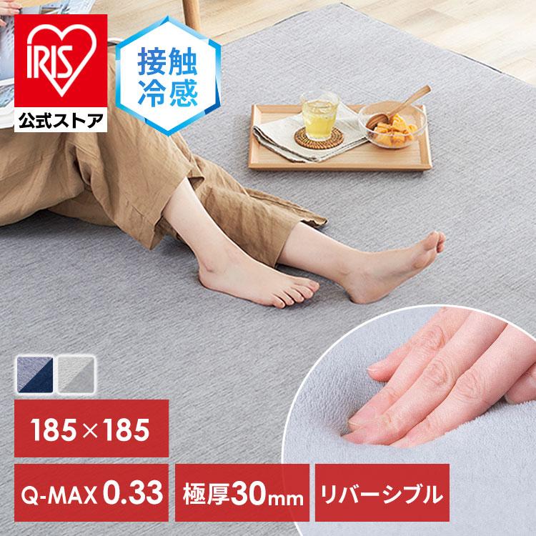 IRIS OHYAMA（アイリスオーヤマ） ラグ 厚手 2畳 おしゃれ