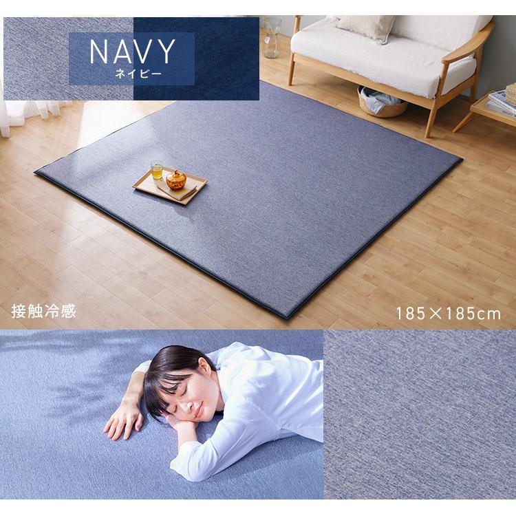 IRIS OHYAMA（アイリスオーヤマ） ラグ 厚手 2畳 おしゃれ