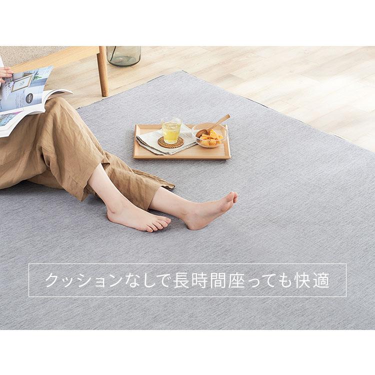 IRIS OHYAMA（アイリスオーヤマ） ラグ 厚手 2畳 おしゃれ