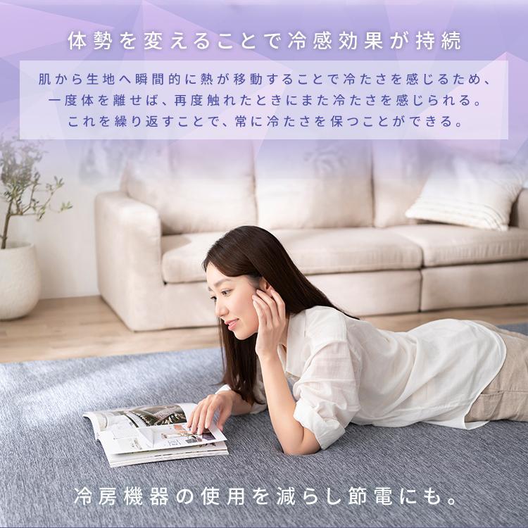 IRIS OHYAMA（アイリスオーヤマ） ラグ 夏用 2畳 接触冷感 ひんやり 冷