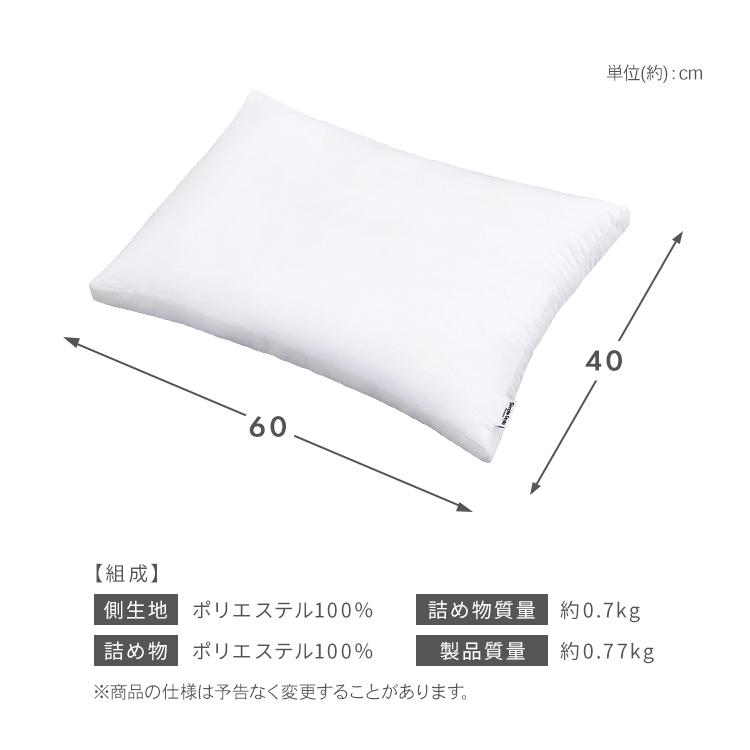 IRIS OHYAMA（アイリスオーヤマ） 枕 洗える 40×60 洗える枕 抗菌 防臭