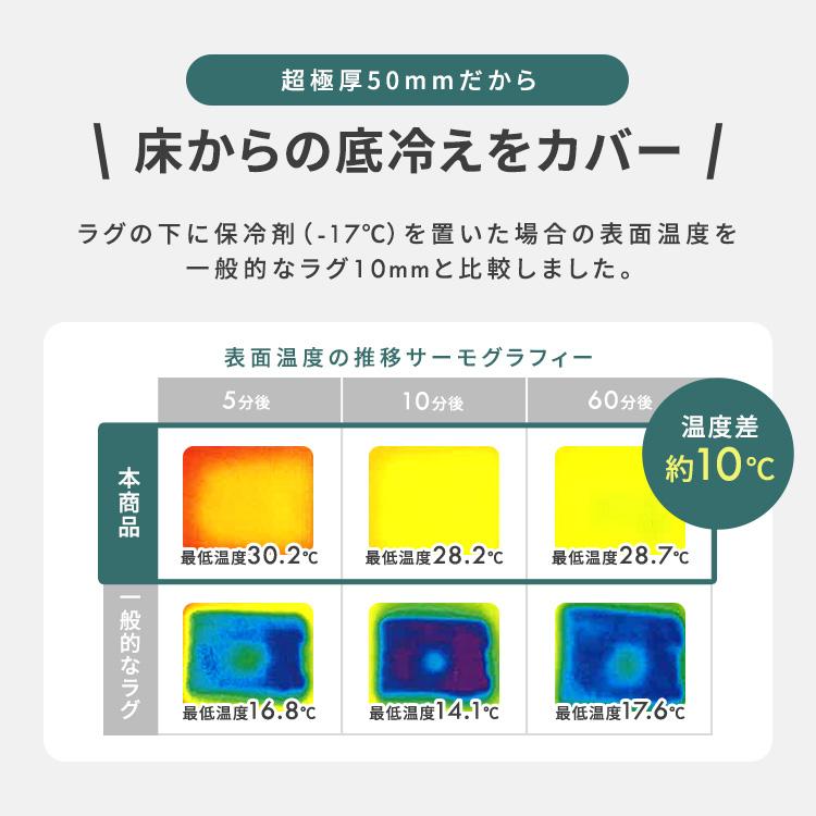 ラグ カーペット 厚手 3畳 北欧 ラグマット 5cm 防音 絨毯 ラ・クッションラグ 極厚 オールシーズン ACRMG-1824 アイリスオーヤマ【JB】 | IRIS OHYAMA | 10