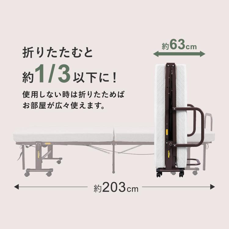 IRIS OHYAMA（アイリスオーヤマ） 電動ベッド 介護 折り畳み