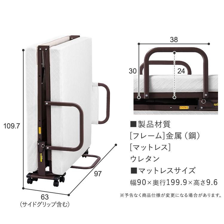 IRIS OHYAMA（アイリスオーヤマ） 電動ベッド 介護 折り畳み
