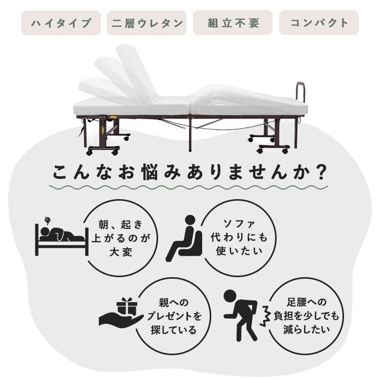 IRIS OHYAMA（アイリスオーヤマ） 電動ベッド 介護 折り畳み