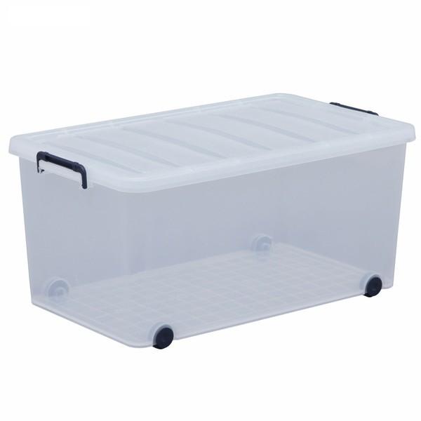 IRIS OHYAMA（アイリスオーヤマ） 収納ボックス 衣装ケース 収納 収納