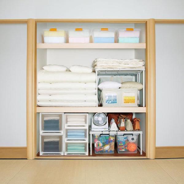 IRIS OHYAMA（アイリスオーヤマ） 収納ボックス 衣装ケース 収納ケース