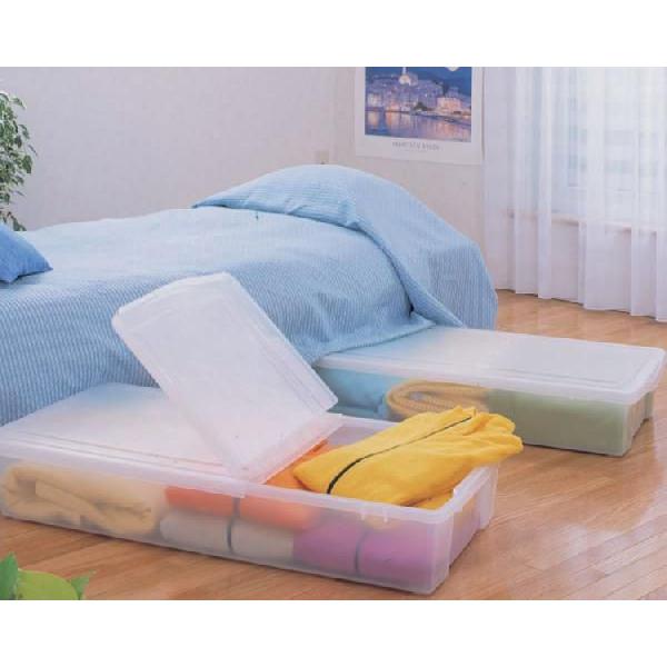 IRIS OHYAMA（アイリスオーヤマ） 収納ボックス 衣装ケース 収納ケース