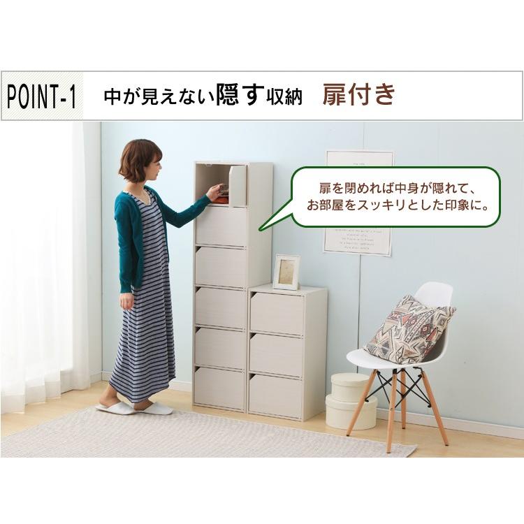 IRIS OHYAMA（アイリスオーヤマ） カラーボックス 2段 扉 収納 収納