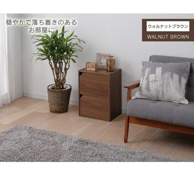 IRIS OHYAMA（アイリスオーヤマ） カラーボックス 2段 扉 収納 収納