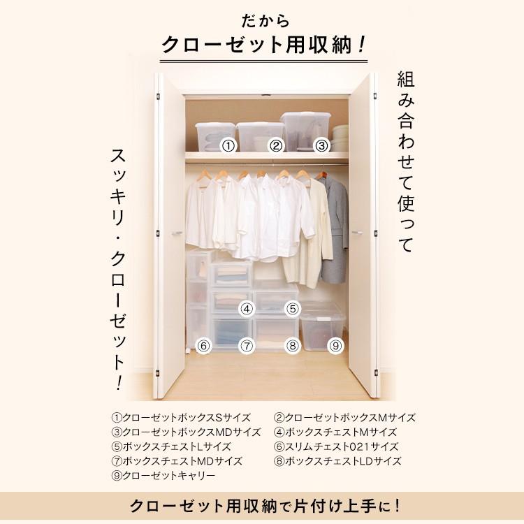 IRIS OHYAMA（アイリスオーヤマ） 収納ボックス クローゼット 収納