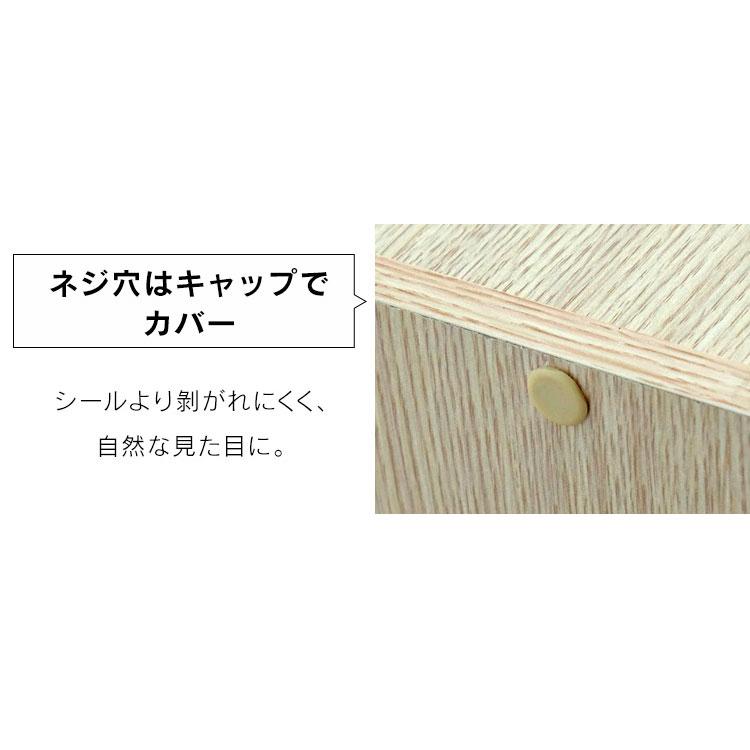 IRIS OHYAMA カラーボックス 3段 2個セット 収納 アイリス