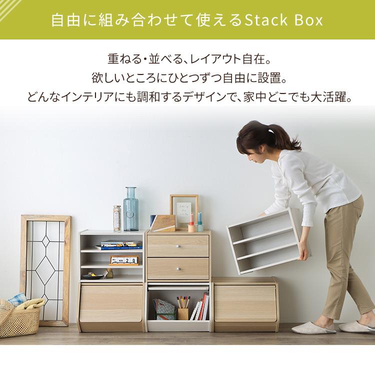 IRIS OHYAMA（アイリスオーヤマ） 収納ボックス 扉付き おしゃれ 収納