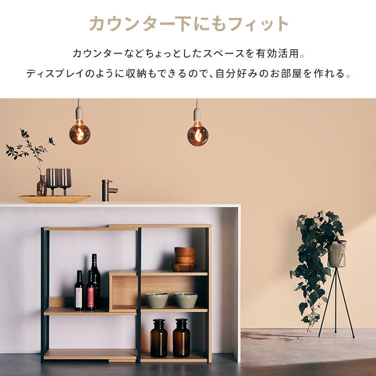 IRIS OHYAMA（アイリスオーヤマ） 食器棚 本棚 ラック おしゃれ 棚