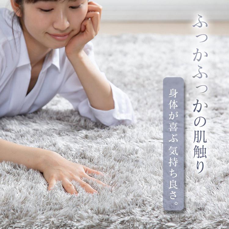 IRIS OHYAMA（アイリスオーヤマ） ラグ カーペット 2畳 厚手