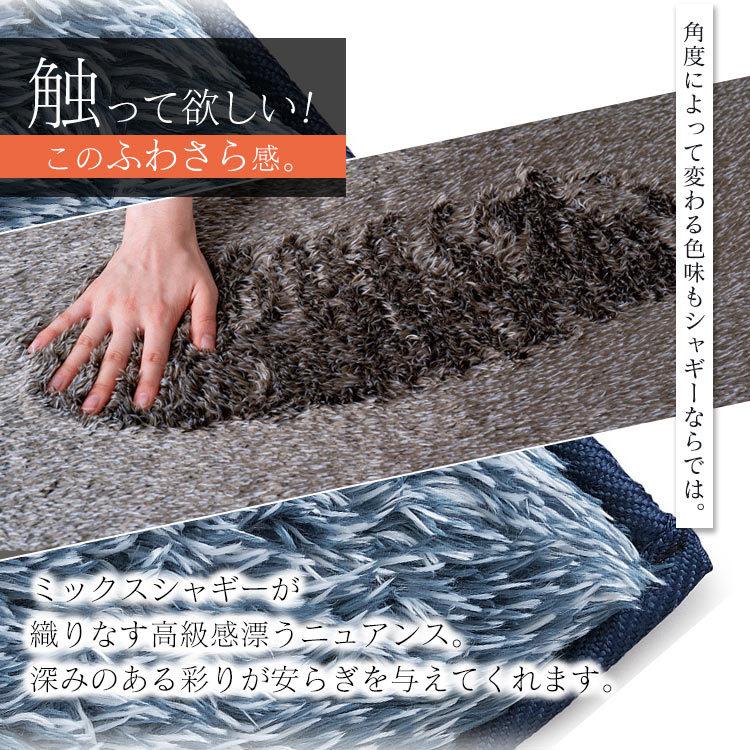 IRIS OHYAMA（アイリスオーヤマ） ラグ カーペット 2畳 厚手