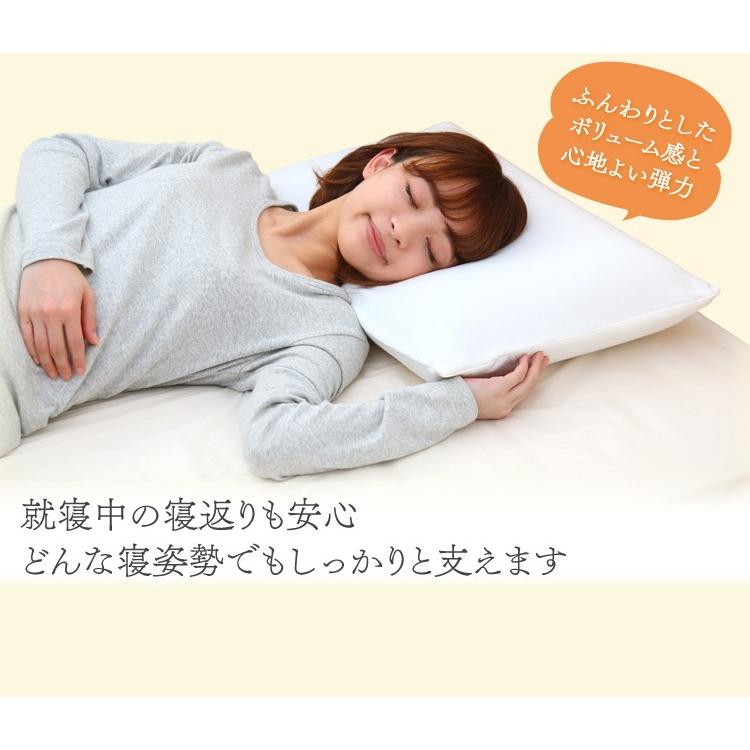 アイリスオーヤマ　カラリエFK-C2 アイリスオーヤマプレミアム枕付き Amazon | アイリスオーヤマ 布団乾燥機 カラリエ 温風機能付