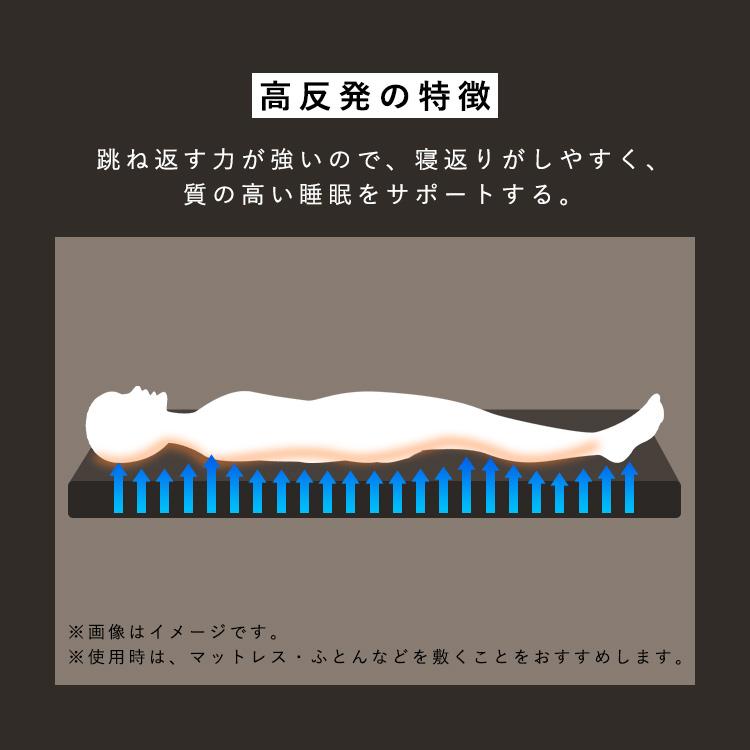 IRIS OHYAMA（アイリスオーヤマ） 折りたたみベッド シングル