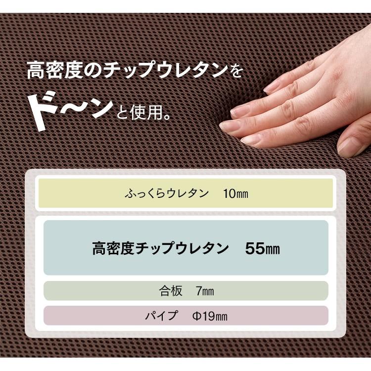 IRIS OHYAMA（アイリスオーヤマ） 折りたたみベッド シングル 電動