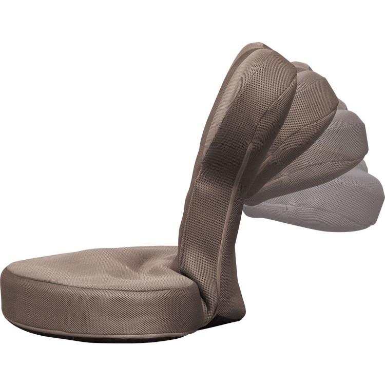 IRIS OHYAMA（アイリスオーヤマ） 座椅子 おしゃれ コンパクト フロア