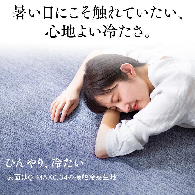 IRIS OHYAMA（アイリスオーヤマ） ラグ 厚手 北欧 ラグマット 夏