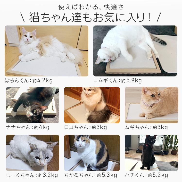 ペットベッド 猫ベッド 猫 ベッド ペットマット 寝床 珪藻土マット ノンアスベスト モイスマット 消臭 抗菌 NECOCOCHI NCC-45 アイリスオーヤマ | IRIS OHYAMA | 02