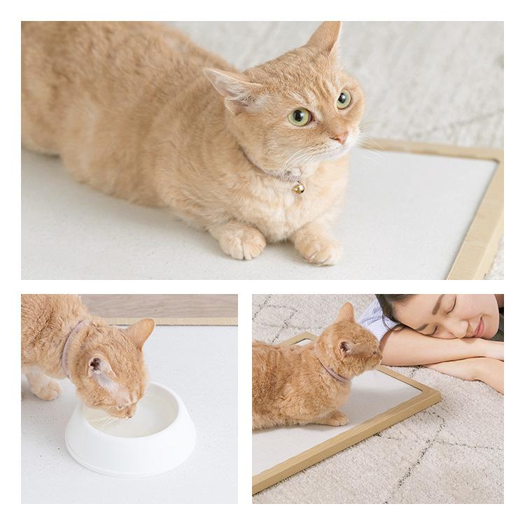 ペットベッド 猫ベッド 猫 ベッド ペットマット 寝床 珪藻土マット ノンアスベスト モイスマット 消臭 抗菌 NECOCOCHI NCC-45 アイリスオーヤマ | IRIS OHYAMA | 07