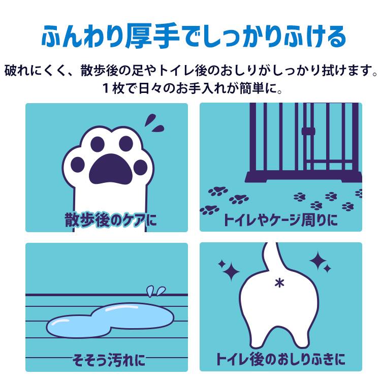 ペット ウェットティッシュ トイレに流せる 70枚入 厚型 除菌 流せる トイレ 犬用 猫 猫用 お掃除 ノンアルコール 無香料 アイリスオーヤマ PNWT-1P｜irisplaza｜02